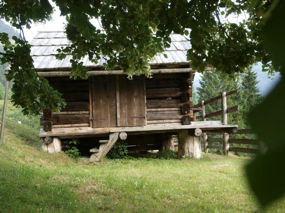 Willa Biobauernhof Spieszschweiger Sankt Nikolai im Sölktal Zewnętrze zdjęcie